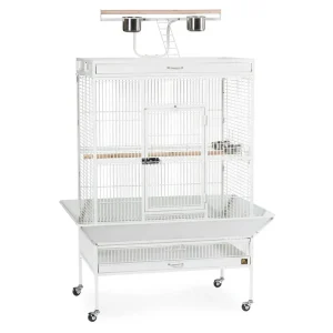 Wrought Iron Select Bird Cage 3154C, Chalk White, 36-Inch by 24-Inch by 66-Inch